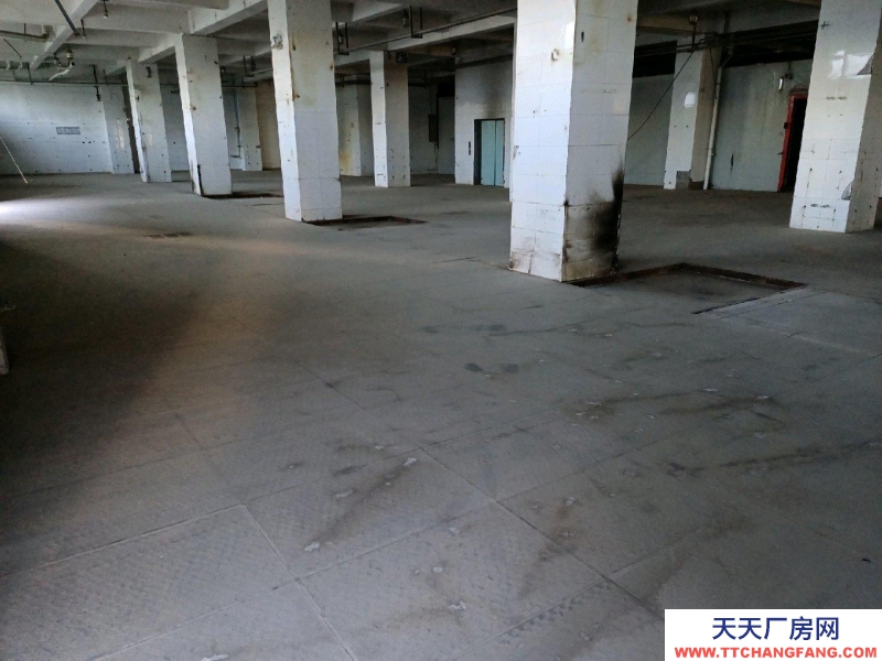 (出租)銀川金鳳 庫房，平房，辦公室出租！