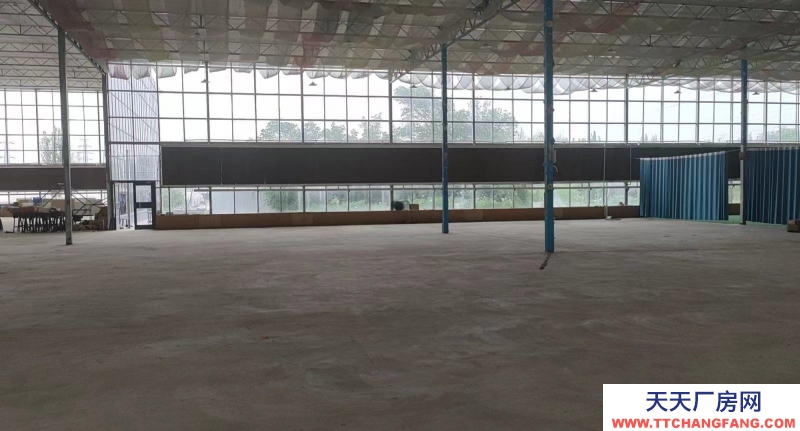 (出租) 銀川興慶10000平米高7米大倉,大小隨意租期靈活。