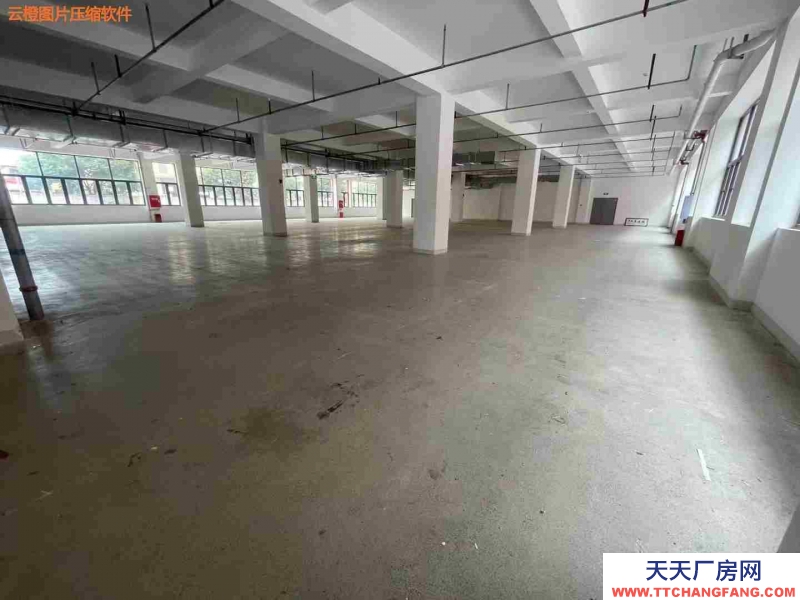 花園式廠房，框架結構，多層設計，贈送25%，0公攤