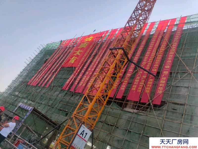 聊城陽谷300-5000平現代化企業廠房倉庫冷庫出售