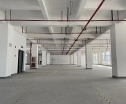 (出租) 浦東臨港新片區先行啟動區 生物醫藥 設備組裝 電商倉儲等