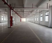 (出租)浦東 南匯104板塊 環境好 可環評 適合紙箱包裝 集成電路 電商