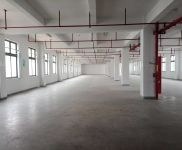 (出租)浦東 南匯104板塊 環境好 可環評 適合紙箱包裝 集成電路 電商