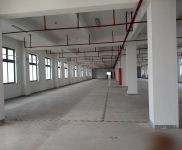 (出租)浦東 南匯104板塊 環境好 可環評 適合紙箱包裝 集成電路 電商