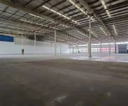 (出租) 浦東外高橋保稅區(qū)標(biāo)準(zhǔn)單層倉庫,可分租,價格實惠。