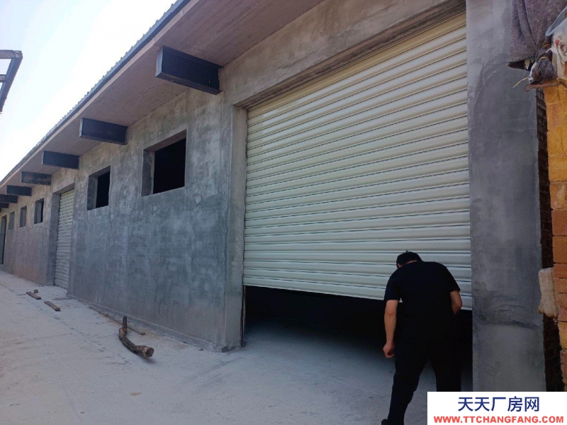 聊城莘縣倉庫在莘亭街道辦事處蔣莊村廣場附近