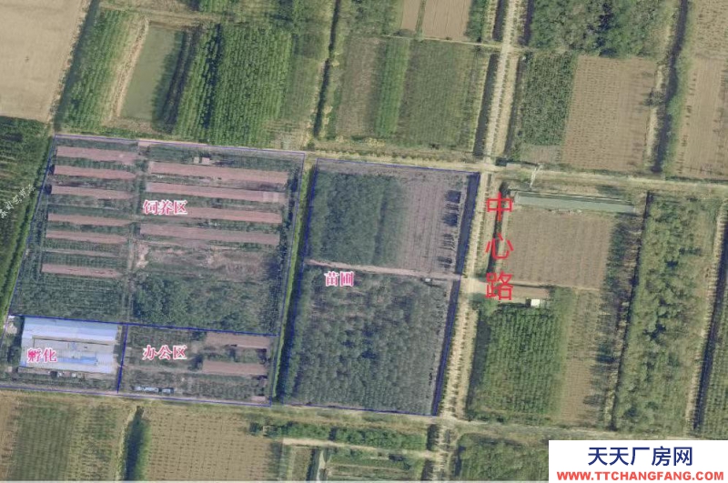 聊城茌平出售畜牧飼養場和孵化場