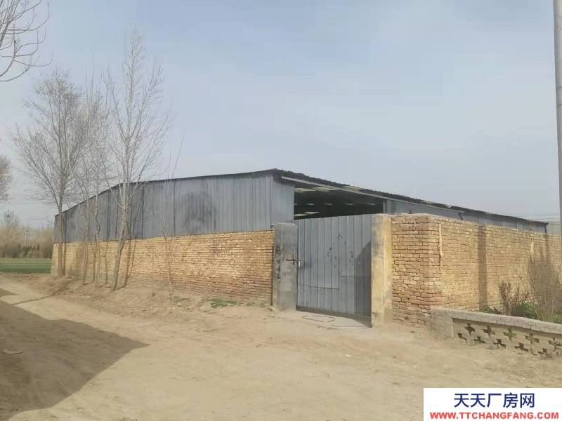 聊城茌平花牛陳村 倉庫 400平米