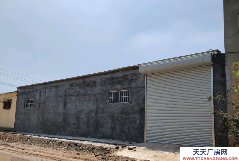 聊城茌平臨大街，可走大車。新房。