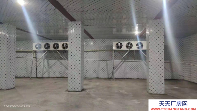 (出租) 焦作山陽區地下恒溫庫出租