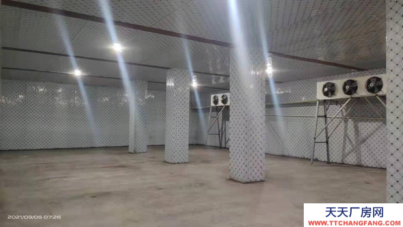 (出租) 焦作山陽區地下恒溫庫出租