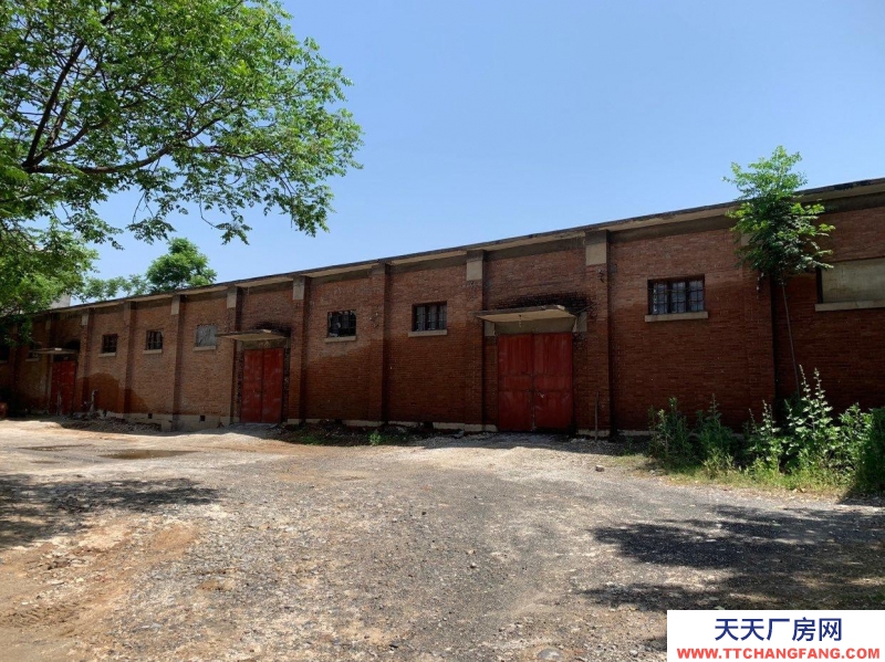 (出租) 焦作沁陽西向鎮(zhèn)人民路農業(yè)銀行北臨采購部大院廠房倉庫對外出租