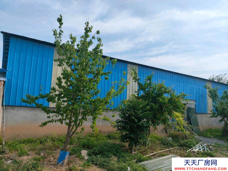 (出租) 焦作溫縣1200平米 倉庫十院子十辦公室招租