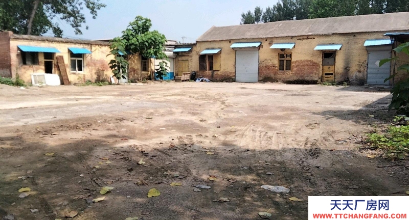 聊城東阿北外環可做廠房，停車場，倉庫