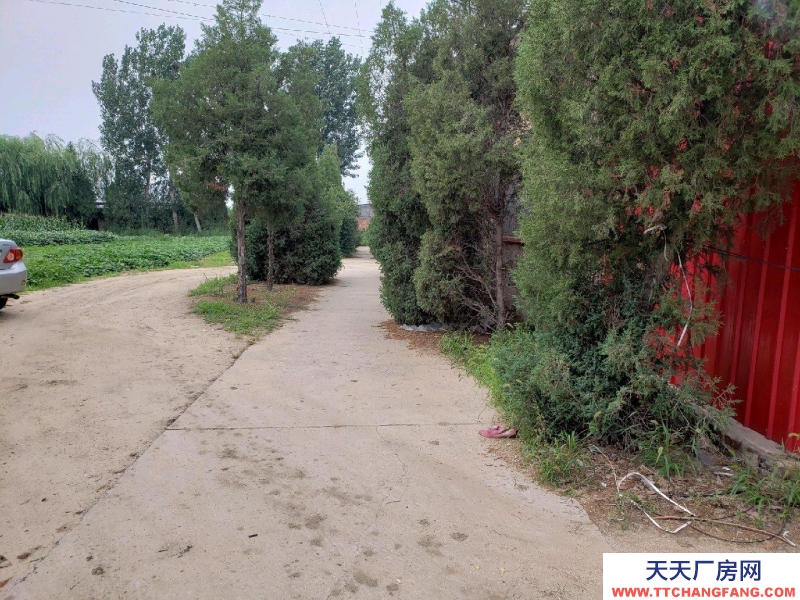 秦皇島 昌黎 昌黎縣城南小心莊村，臨機場快速路。