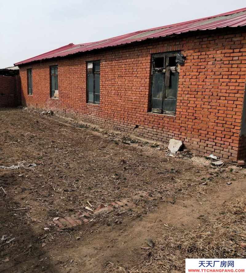 秦皇島 昌黎 廠房倉庫土地出租適合養(yǎng)殖種植放廢品