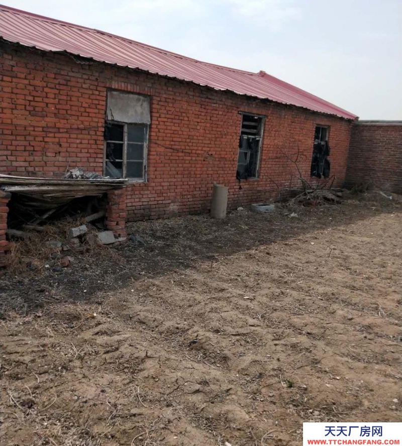 秦皇島 昌黎 廠房倉庫土地出租適合養(yǎng)殖種植放廢品