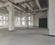 (出租)金山 亭林工業高質廠房，104地塊可環評，適合對形象要求高的企業