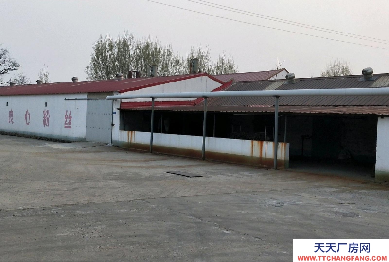 秦皇島 昌黎 庫房面積1000平，辦公樓400平