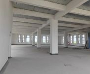 (出租) 金地集團金山亭林獨棟廠房2550平 適合辦公研發生產企業總部