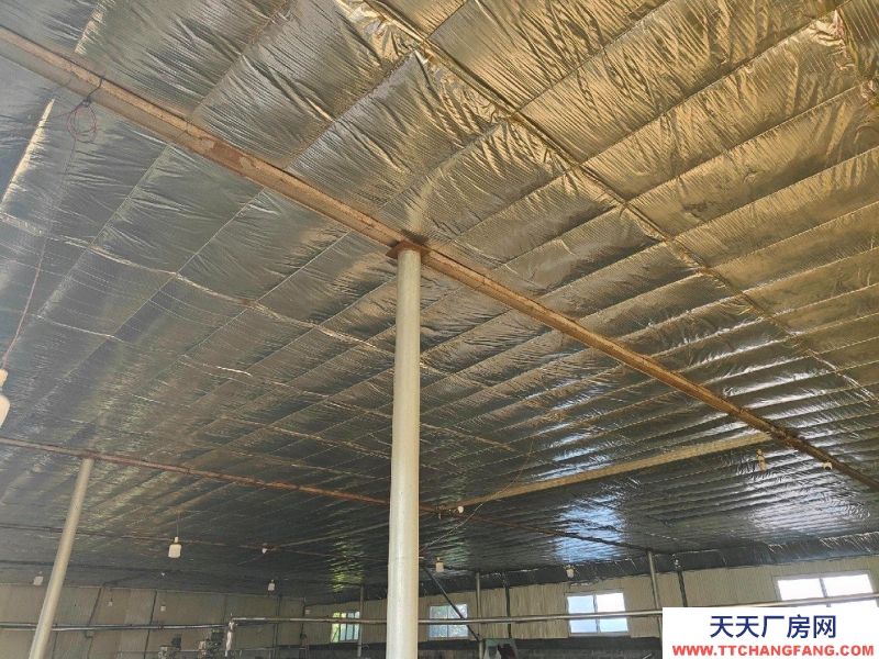 秦皇島 昌黎新建的廠房現對外出租