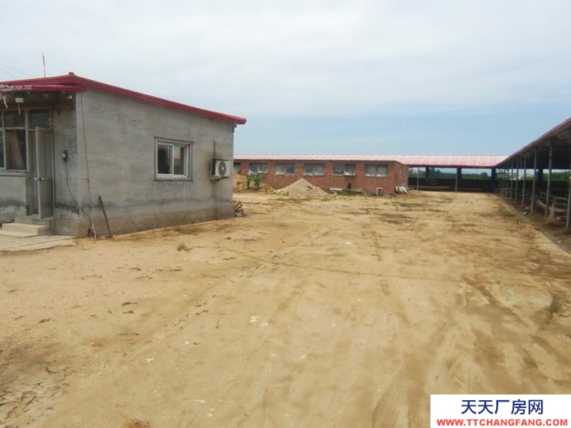秦皇島 撫寧 楊洛木村4700平養殖場出租(出租) (商聯)撫寧楊洛木村4700平養殖場出租