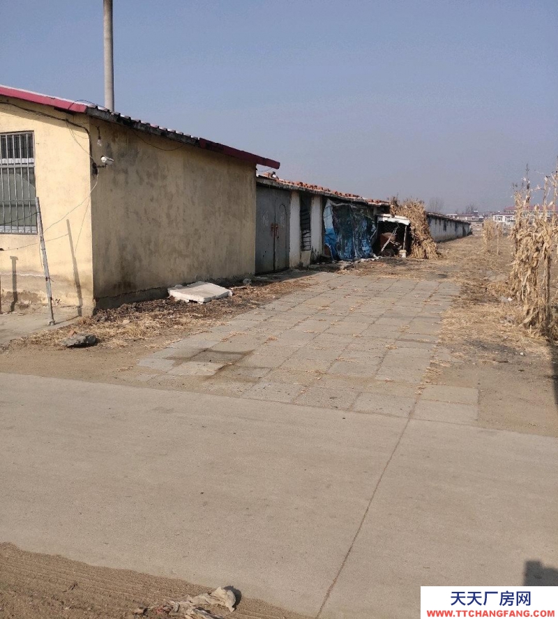 秦皇島 撫寧 原肉雞養(yǎng)殖場(chǎng),全自動(dòng)設(shè)備,離205國(guó)道近出行方便