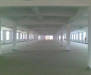 (出售) 金山區 獨門獨院 6畝 3800平 1520萬 近高速