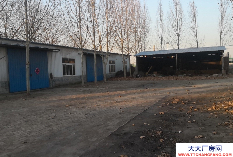 聊城冠縣東西兩座鋼結構廠房 南有平房9間 院落總計面積五畝