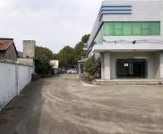 (出售) 金山亭林 劃撥104地塊 獨門獨院，綠證4畝，實際有6畝