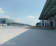 (出租) (出租)金山低價特惠 倉庫直租 企業(yè)存儲 個人存儲 可搬運有貨梯