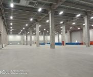 (出租) (出租)金山低價特惠 倉庫直租 企業(yè)存儲 個人存儲 可搬運有貨梯