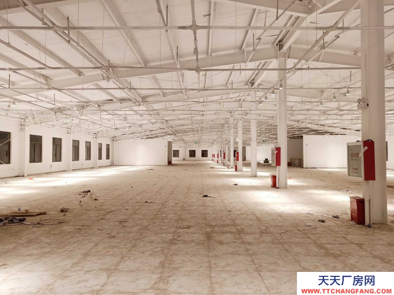 (出租) 焦作溫縣城區溫縣市區