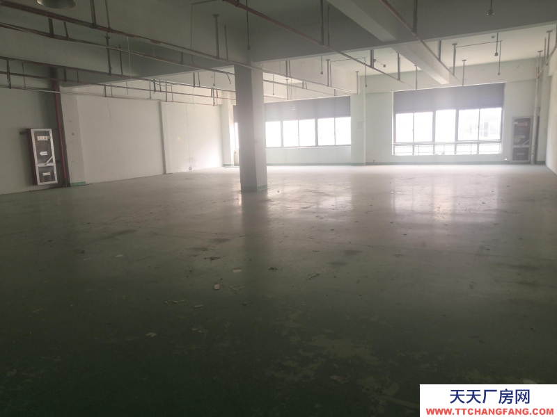 湖州織里大平層1374平方廠房出租，可以打通擴展至4900平方！