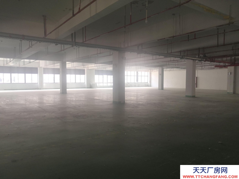 湖州織里大平層1374平方廠房出租，可以打通擴展至4900平方！