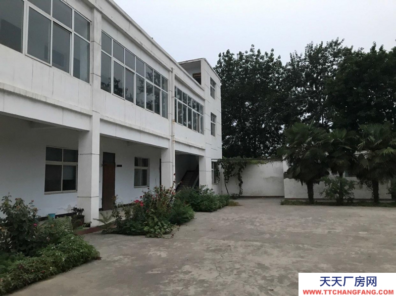 (出租) 焦作博愛適合公司辦公、商業經營、培訓機構