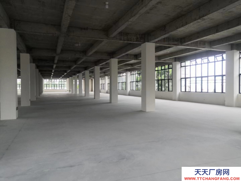 無中介費，獨棟，框架結構，新廠房，兩層半設計，高贈送