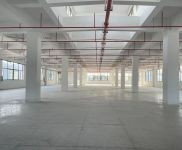 (出租) 松江洞涇工業區各類廠房，倉庫，辦公室出租