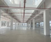 (出租) 松江洞涇工業區各類廠房，倉庫，辦公室出租