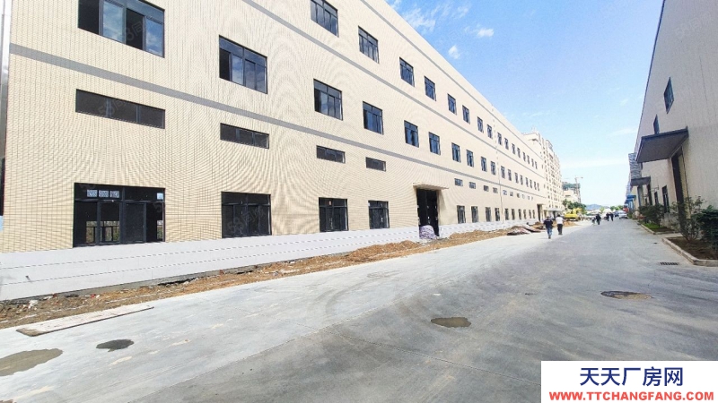 (出租) 廣州肇慶大旺標準樓層鋼結構單一層全新廠房產業園后剩3個倉