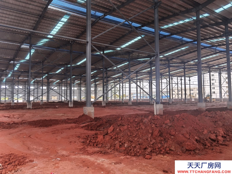 (出租) 廣州肇慶四會大沙工業(yè)園全新獨院單層加樓層46000平方，可分租