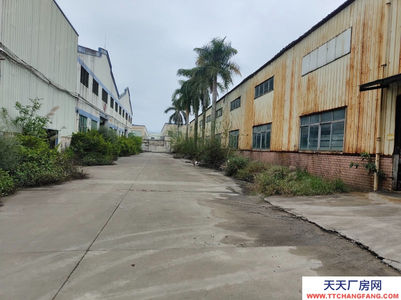 (出租) 廣州 肇慶鼎湖新區13元重工業廠房10萬平方出租