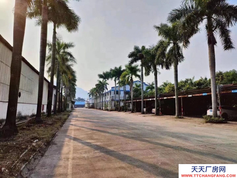 (出租) 廣州肇慶現(xiàn)有噴漆環(huán)評噴漆房廠房出租10萬平方3000平方起分租。