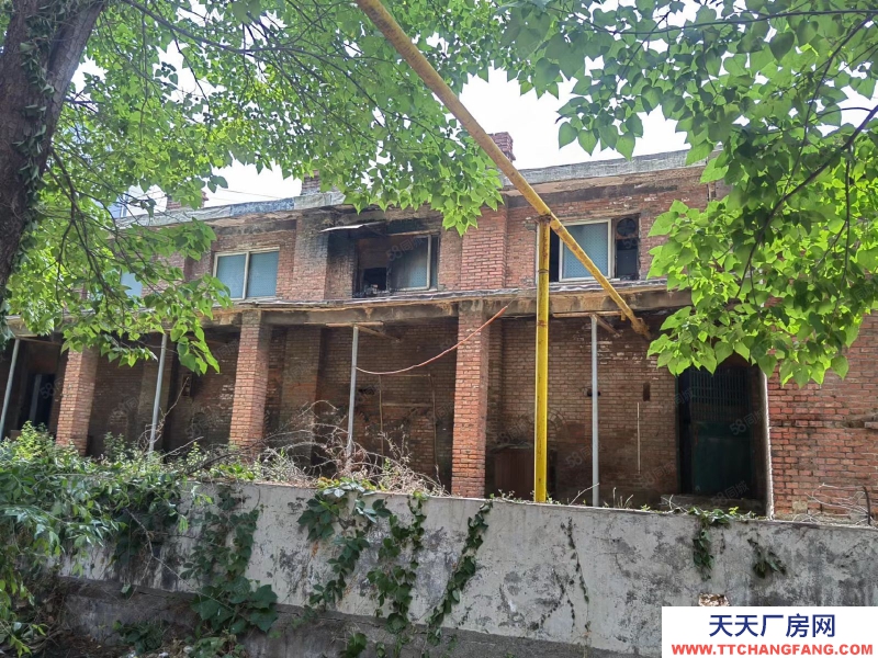 (出租) 小院獨棟可建廠，有煤氣，