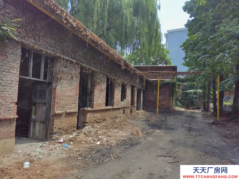 (出租) 小廠房出租獨(dú)門獨(dú)戶小院500平