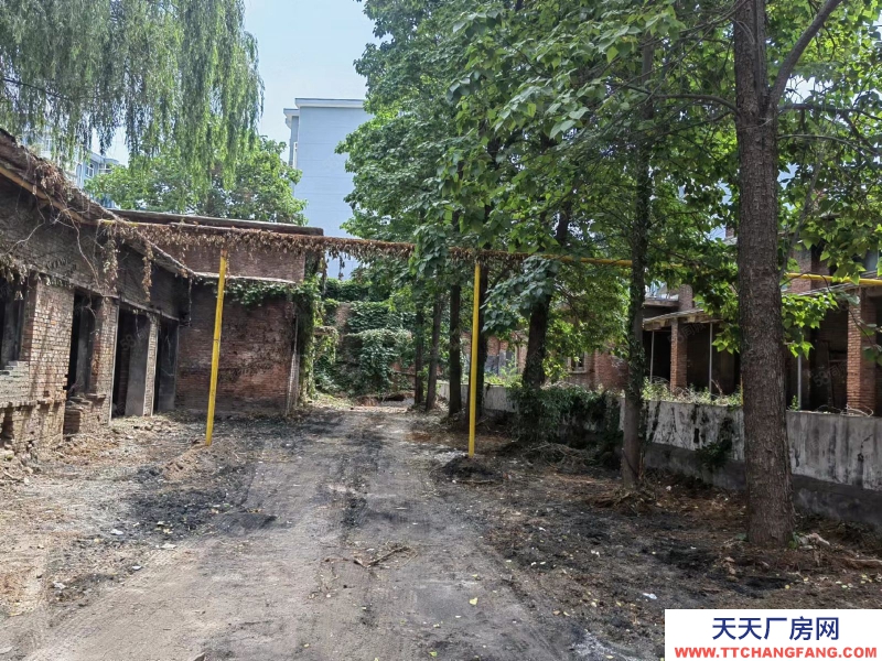 (出租) 小廠房出租獨門獨戶小院500平