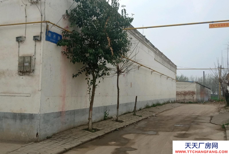 邯鄲 邯山 現有獨立小院對外出租