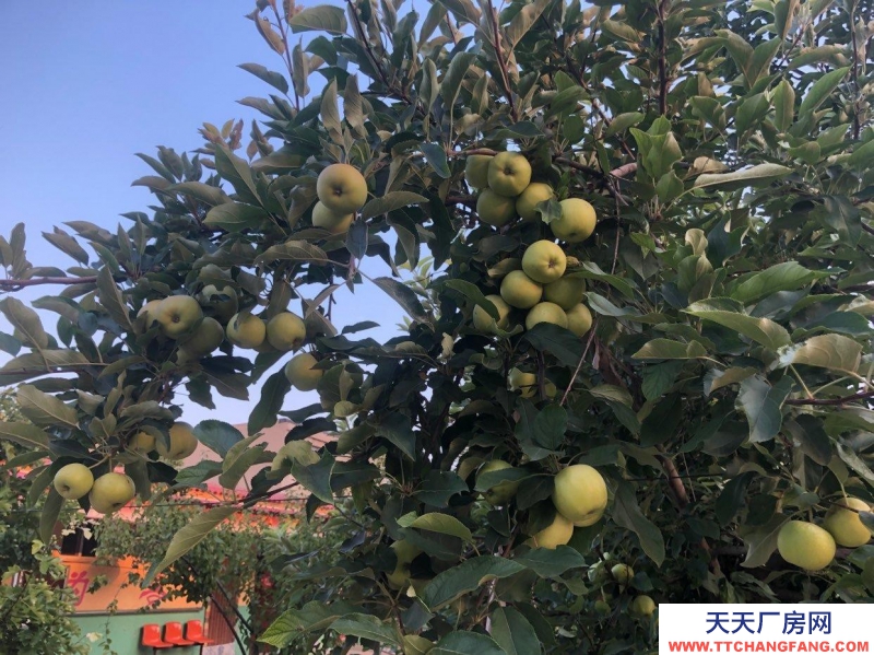 邯鄲 邯山 可，可辦公，位置優(yōu)越，附近多家醫(yī)院，超市，廣場(chǎng)