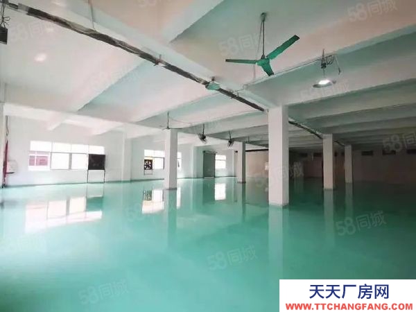 威海環(huán)翠現(xiàn)房出售 面積1200平至4000平可選 可生產(chǎn)環(huán)評(píng)首付兩成