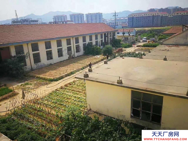 威海環翠 張村倉庫一樓二樓低價出租